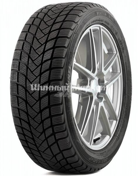 Зимние шиныDelinteWinter WD6235/55 R19105H